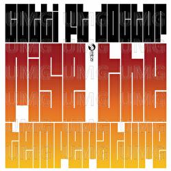 Insanity / Raise The Temperature - Various Artists
