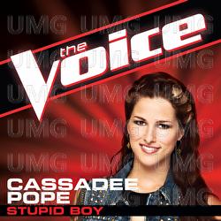 Stupid Boy - Cassadee Pope