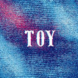 My Heart Skips A Beat - TOY