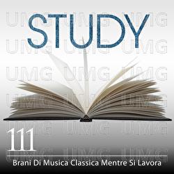Study: 111 Brani Di Musica Classica Mentre Si Lavora - Various Artists