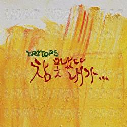 Too Foolish To You&hellip; - Tritops