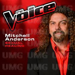 Sexual Healing - Mitchell Anderson