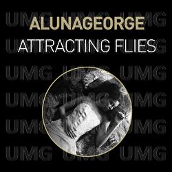 Attracting Flies - AlunaGeorge