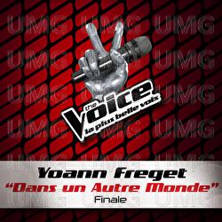 Dans Un Autre Monde - The Voice 2 - Yoann Freget