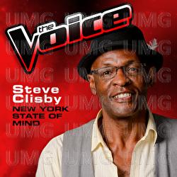 New York State Of Mind - Steve Clisby