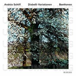 Ludwig van Beethoven: Diabelli-Variationen