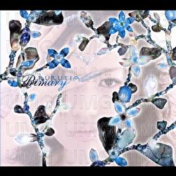 Primary - Rurutia