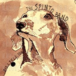 Did I Tell You - The Spinto Band