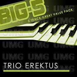 Big-5: Trio Erektus - Trio Erektus