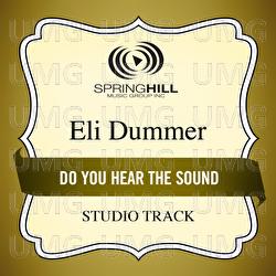 Do You Hear The Sound - Eli Dummer