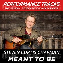 Meant To Be - Steven Curtis Chapman