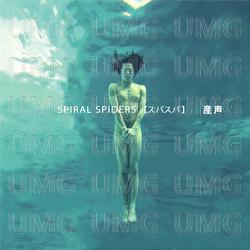 Ubugoe - Spiral Spiders