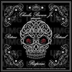 Pontes Indestrutiveis - Charlie Brown Jr.
