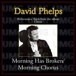 Morning Has Broken/Morning Chorus