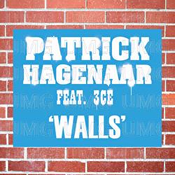 Walls - Patrick Hagenaar, 3CE