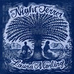 Night Terror - Laura Marling