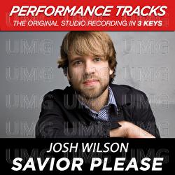 "Savior, Please " - Josh Wilson