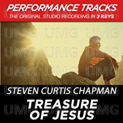 Treasure Of Jesus - Steven Curtis Chapman