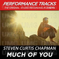 Much Of You - Steven Curtis Chapman