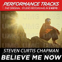 Believe Me Now - Steven Curtis Chapman
