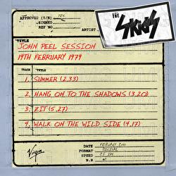 John Peel Session - Skids