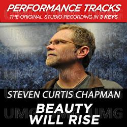 Beauty Will Rise - Steven Curtis Chapman