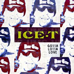 Gotta Lotta Love - Ice T