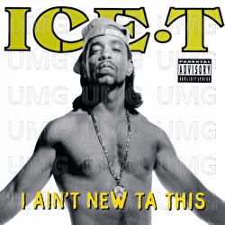 I Ain't New Ta This - Ice T