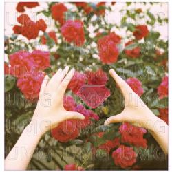 Ruby - Shione Yukawa