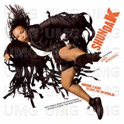 Here I Am To Save The World - Shunda K