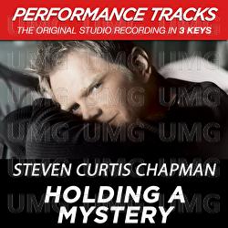 Holding A Mystery - Steven Curtis Chapman