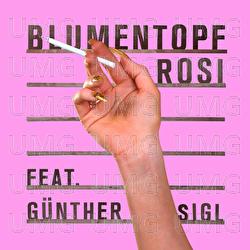 Rosi - Blumentopf