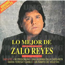 Un Ramito De Violetas - Zalo Reyes