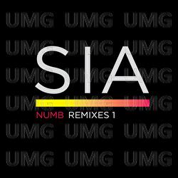 Numb Remixes 1