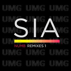 Numb Remixes 1 - Sia