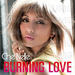Burning Love - Che'Nelle