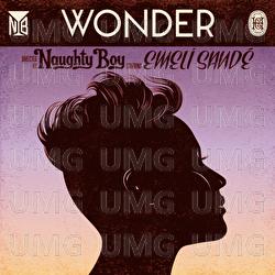 Wonder - Naughty Boy, Emeli Sandé
