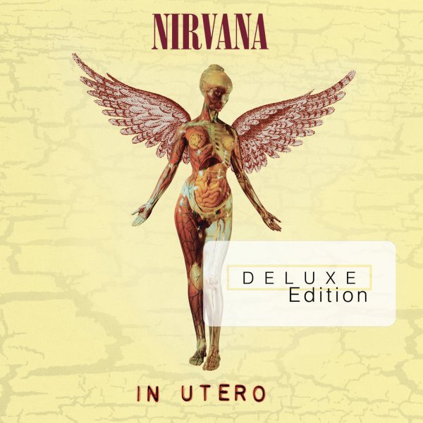 In Utero - 20th Anniversary - Super Deluxe Edition