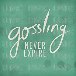 Never Expire - Gossling