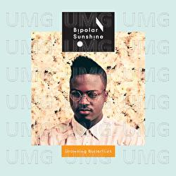 Drowning Butterflies EP - Bipolar Sunshine