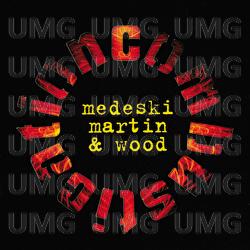 Combustication - Medeski Martin & Wood