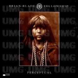Perceptual - Brian Blade