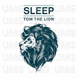 Sleep - Tom The Lion
