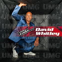 When Love Takes Over - David Whitley