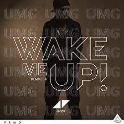 Wake Me Up - Avicii