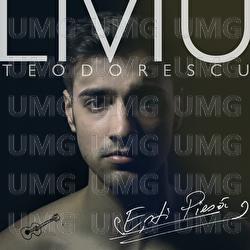 Esti piesa - Liviu Teodorescu