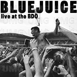Live At The Big Day Out 2014 - Bluejuice