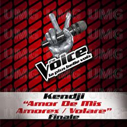 Amor De Mis Amores / Volare - The Voice 3 - Kendji Girac