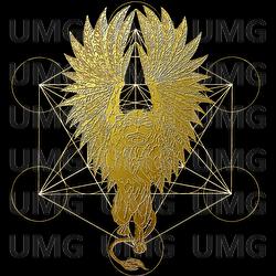 The Griffin - Knytro