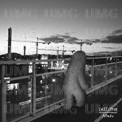 Curtains - Last Lynx